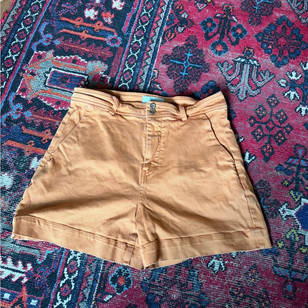 Everlane Women's Orange Shorts 12
